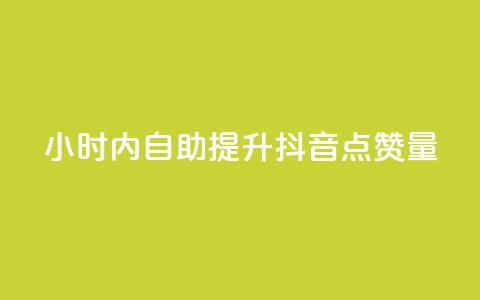 24小时内自助提升抖音点赞量  第1张 24小时内自助提升抖音点赞量  第1张