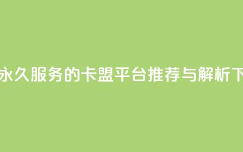 QQ会员永久服务的卡盟平台推荐与解析  第1张 QQ会员永久服务的卡盟平台推荐与解析  第1张