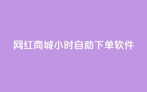 网红商城24小时自助下单软件 - 24小时自助下单软件，让网红商城轻松畅销!  第1张