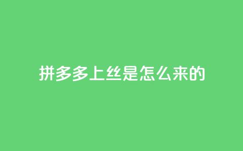 拼多多上丝是怎么来的 - 抖音怎么放外网链接  第1张 拼多多上丝是怎么来的 - 抖音怎么放外网链接  第1张