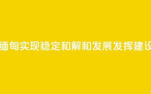 王毅：为缅甸实现稳定、和解和发展发挥建设性作用  第1张