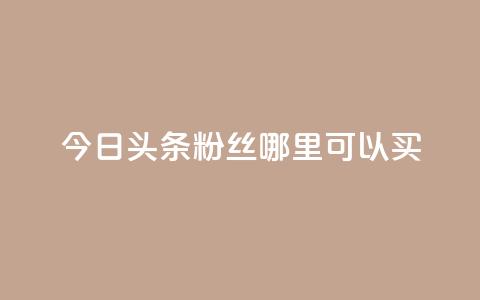 今日头条粉丝哪里可以买 - 在哪里可以购买今日头条粉丝?!  第1张 今日头条粉丝哪里可以买 - 在哪里可以购买今日头条粉丝?!  第1张