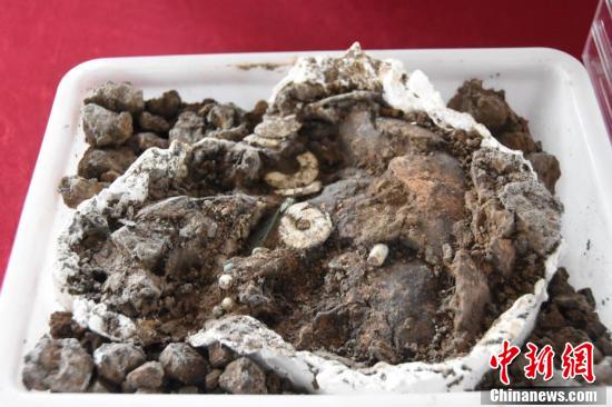 【何以中国 行走河南】走进河南永城王庄遗址  感受5000年前大汶口文化聚落的礼制内涵 第6张 【何以中国 行走河南】走进河南永城王庄遗址  感受5000年前大汶口文化聚落的礼制内涵 第6张