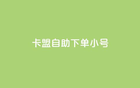 卡盟自助下单dy小号 - 卡盟自助下单代理小号服务解析！  第1张
