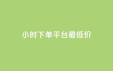 24小时下单平台最低价 - 24小时下单平台，优质商品最低价限时抢购！!  第1张