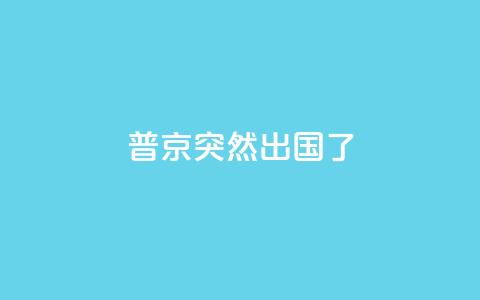 普京突然出国了  第1张 普京突然出国了  第1张