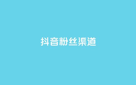 抖音粉丝渠道 - 提升抖音粉丝增长的方法。  第1张