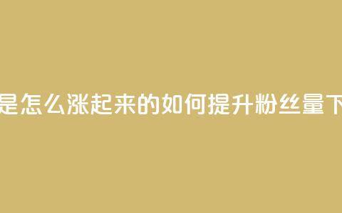 粉丝是怎么涨起来的 - 如何提升粉丝量~  第1张 粉丝是怎么涨起来的 - 如何提升粉丝量~  第1张
