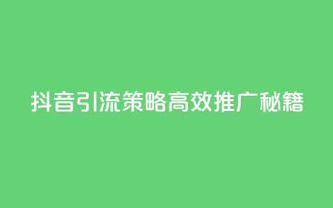 抖音引流策略:高效推广秘籍  第1张 抖音引流策略:高效推广秘籍  第1张