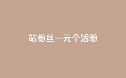 b站粉丝一元1000个活粉 - 如何在B站获得1000个活跃粉丝，仅需1元~  第1张
