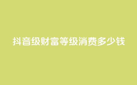 抖音24级财富等级消费多少钱 - 抖音财富等级24级消费金额是多少?! 第1张 抖音24级财富等级消费多少钱 - 抖音财富等级24级消费金额是多少?! 第1张