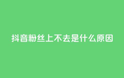 抖音粉丝上不去是什么原因 - 为什么我的抖音粉丝无法增加?! 第1张 抖音粉丝上不去是什么原因 - 为什么我的抖音粉丝无法增加?! 第1张