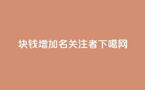 1块钱增加100名关注者  第1张
