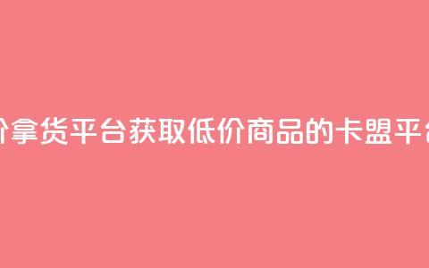 卡盟低价拿货平台 - 获取低价商品的卡盟平台~ 第1张 卡盟低价拿货平台 - 获取低价商品的卡盟平台~ 第1张