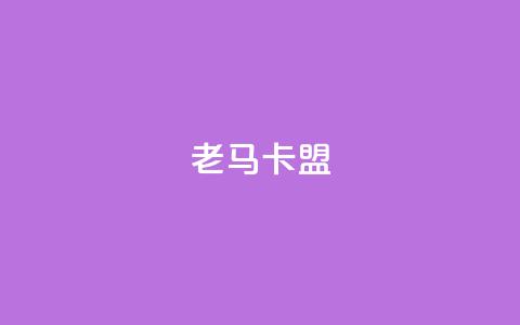 老马卡盟 - 老马卡盟：提升网站SEO效果的有效工具。  第1张