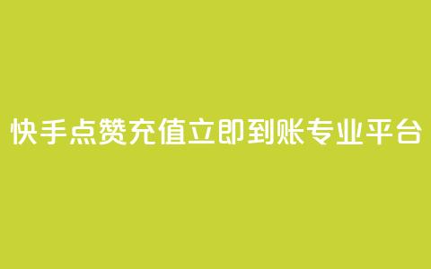 快手点赞充值立即到账专业平台  第1张 快手点赞充值立即到账专业平台  第1张