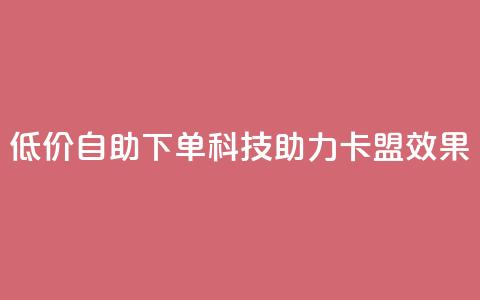 低价自助下单科技助力卡盟SEO效果  第1张 低价自助下单科技助力卡盟SEO效果  第1张