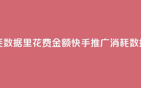 快手推广消耗数据里花费金额(快手推广消耗数据详解)  第1张