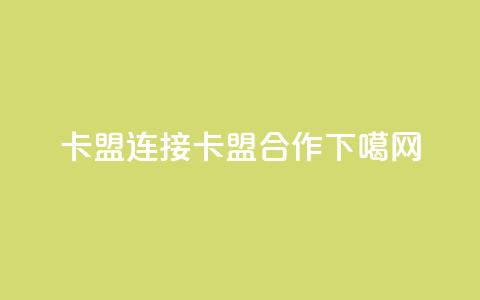 卡盟连接(卡盟合作)  第1张