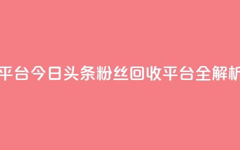 今日头条粉丝回收平台 - 今日头条粉丝回收平台全解析与使用指南！  第1张