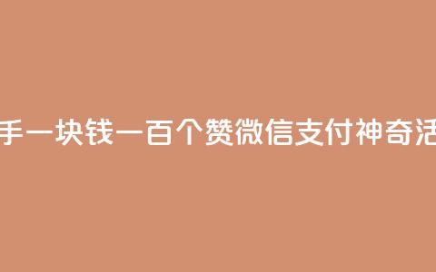 快手一块钱一百个赞微信支付神奇活动  第1张 快手一块钱一百个赞微信支付神奇活动  第1张