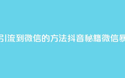 抖音最新引流到微信的方法(抖音秘籍 微信暴增好办法)  第1张 抖音最新引流到微信的方法(抖音秘籍 微信暴增好办法)  第1张