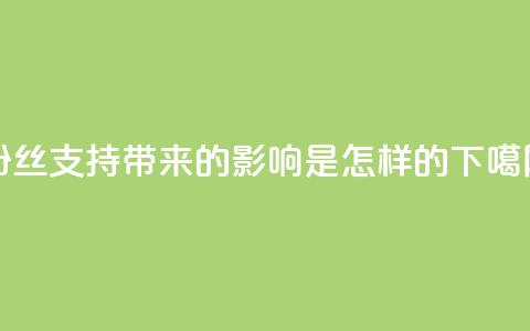 粉丝支持带来的影响是怎样的?  第1张 粉丝支持带来的影响是怎样的?  第1张