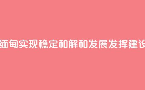 王毅：为缅甸实现稳定、和解和发展发挥建设性作用  第1张