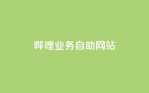 哔哩业务自助网站 - 哔哩业务自助网站：全方位自助服务平台！  第1张