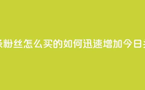 今日头条粉丝怎么买的(如何迅速增加今日头条粉丝) 第1张 今日头条粉丝怎么买的(如何迅速增加今日头条粉丝) 第1张