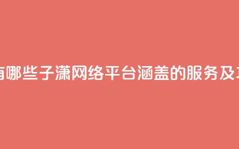 子潇网络平台有哪些 - 子潇网络平台：涵盖的服务及功能一览！  第1张