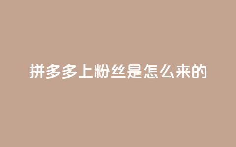 拼多多上粉丝是怎么来的 - 拼多多是如何吸引粉丝的?~  第1张 拼多多上粉丝是怎么来的 - 拼多多是如何吸引粉丝的?~  第1张