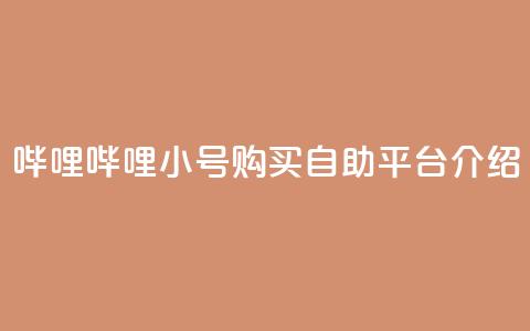 哔哩哔哩小号购买自助平台介绍 第1张 哔哩哔哩小号购买自助平台介绍 第1张