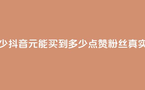 抖音买点赞1元100点赞多少 - 抖音1元能买到多少点赞?粉丝真实互动为你揭秘!~ 第1张 抖音买点赞1元100点赞多少 - 抖音1元能买到多少点赞?粉丝真实互动为你揭秘!~ 第1张