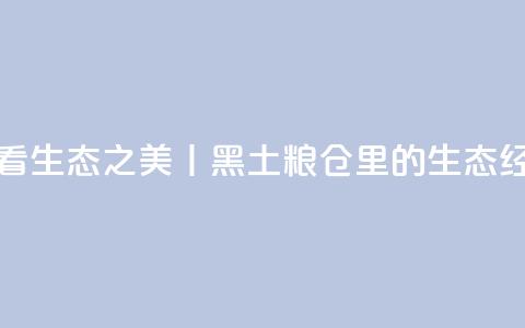 看生态之美丨黑土粮仓里的生态经  第1张 看生态之美丨黑土粮仓里的生态经  第1张