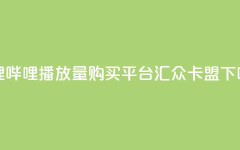 哔哩哔哩播放量购买平台 - 汇众卡盟  第1张