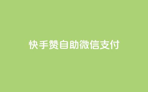 快手赞自助微信支付,快手业务在线下单平台全网最低 - 子潇24小时下单 空间访问量50000免费  第1张 快手赞自助微信支付,快手业务在线下单平台全网最低 - 子潇24小时下单 空间访问量50000免费  第1张