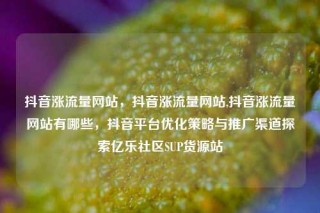 抖音涨流量网站,抖音涨流量网站,抖音涨流量网站有哪些,抖音平台优化策略与推广渠道探索亿乐社区SUP货源站