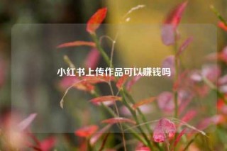 小红书上传作品可以赚钱吗