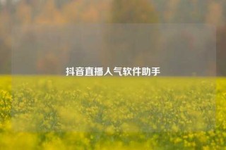 抖音直播人气软件助手