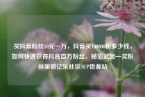 买抖音粉丝10元一万，抖音买100000粉多少钱，如何快速获得抖音百万粉丝，秘密武器—买粉丝策略亿乐社区SUP货源站