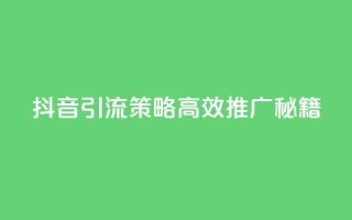 抖音引流策略:高效推广秘籍