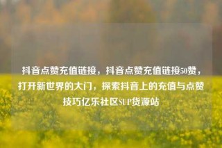抖音点赞充值链接,抖音点赞充值链接50赞,打开新世界的大门,探索抖音上的充值与点赞技巧亿乐社区SUP货源站