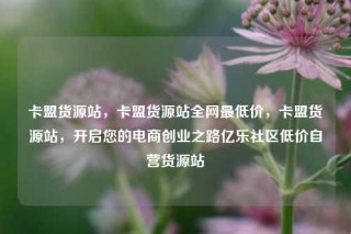 卡盟货源站,卡盟货源站全网最低价,卡盟货源站,开启您的电商创业之路亿乐社区低价自营货源站