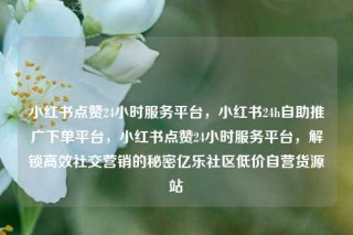 小红书点赞24小时服务平台,小红书24h自助推广下单平台,小红书点赞24小时服务平台,解锁高效社交营销的秘密亿乐社区低价自营货源站