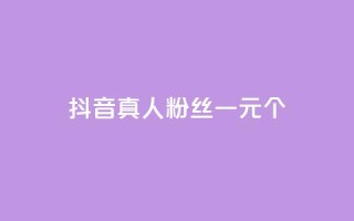 抖音真人粉丝一元1000个 - 抖音真人粉丝价格惊人!1元可获得1000个高质量粉丝!