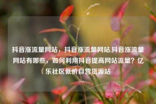 抖音涨流量网站,抖音涨流量网站,抖音涨流量网站有哪些,如何利用抖音提高网站流量?亿乐社区低价自营货源站