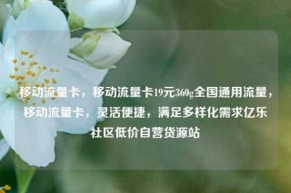移动流量卡,移动流量卡19元360g全国通用流量,移动流量卡,灵活便捷,满足多样化需求亿乐社区低价自营货源站