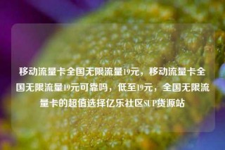 移动流量卡全国无限流量19元，移动流量卡全国无限流量19元可靠吗，低至19元，全国无限流量卡的超值选择亿乐社区SUP货源站