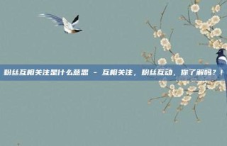 粉丝互相关注是什么意思 - 互相关注,粉丝互动,你了解吗?!